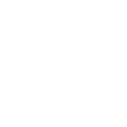 قناة الجزيرة